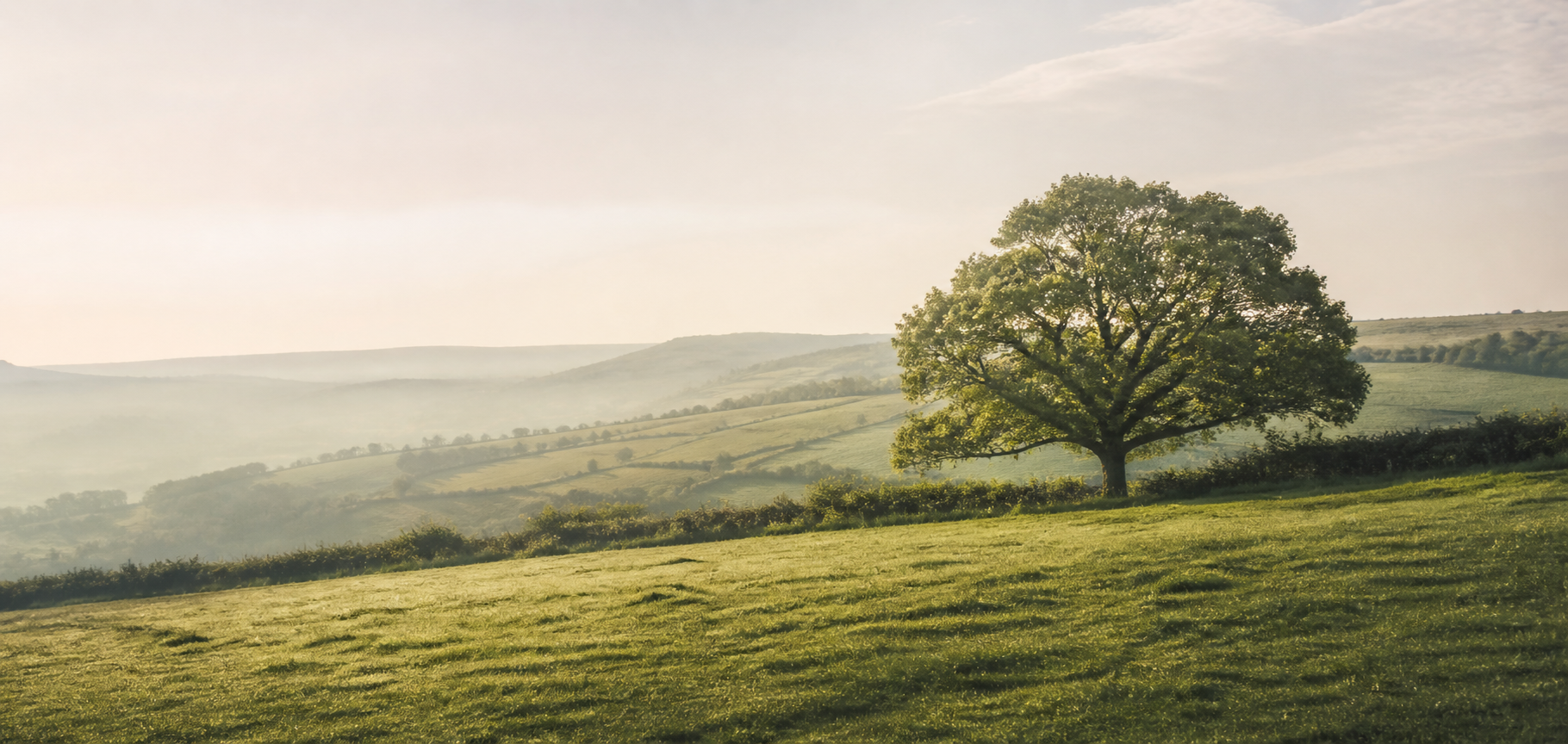 Westcountry landscape